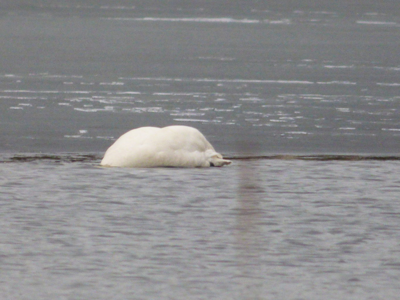 Valokuvaaja: Hannu Rissanen