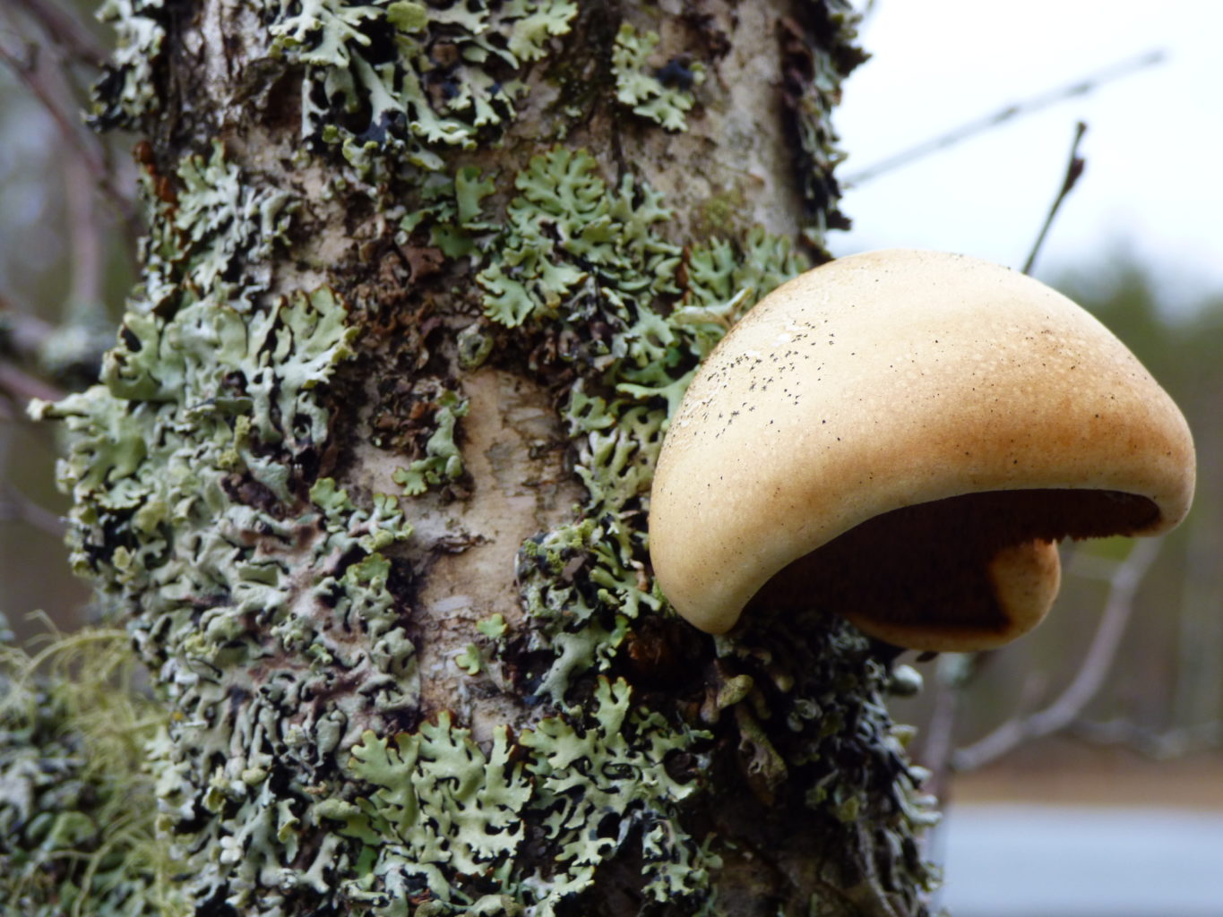 Valokuvaaja: Hannu Rissanen Valokuvaaja: Hannu Rissanen