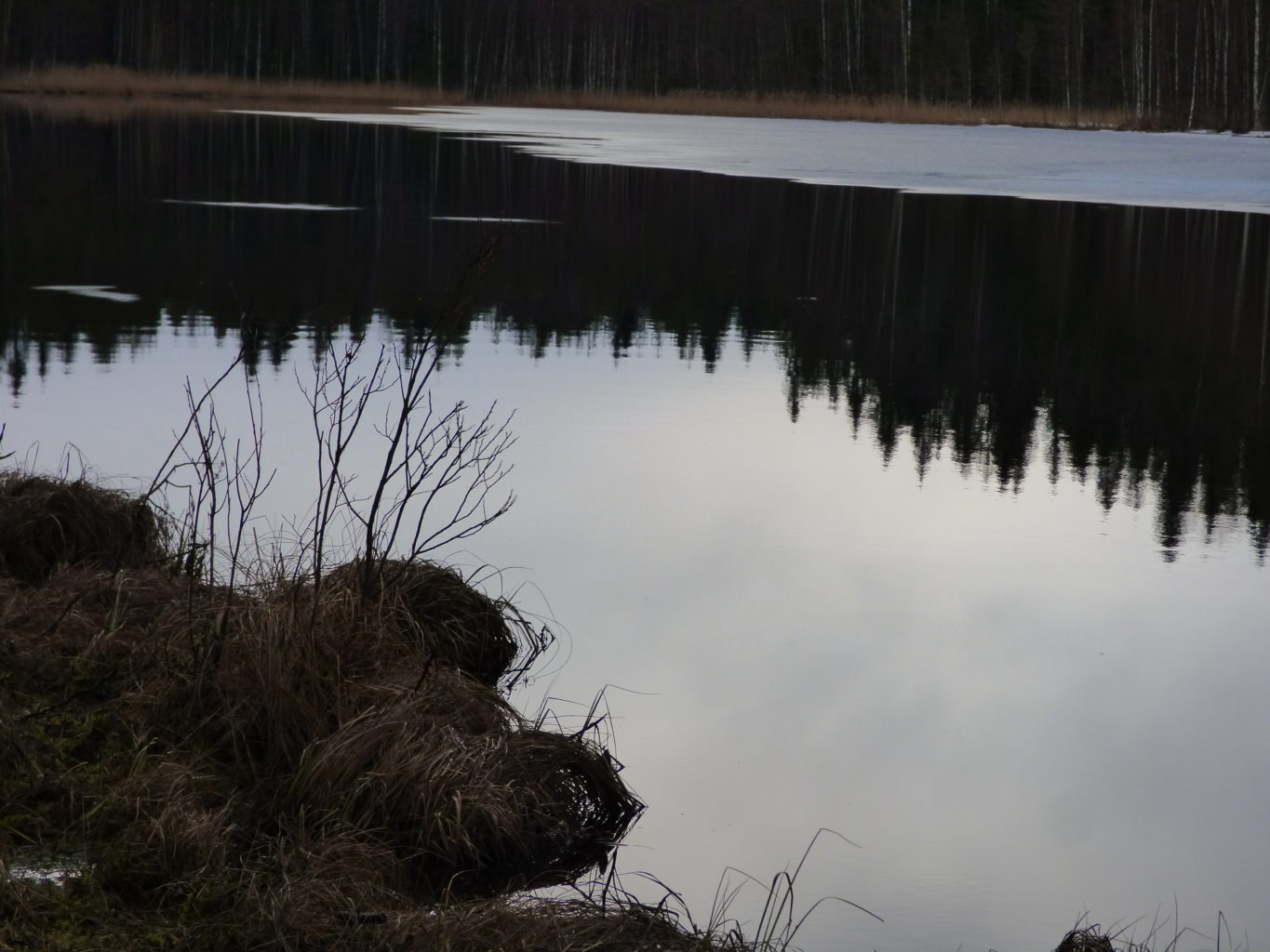 Valokuvaaja: Hannu Rissanen