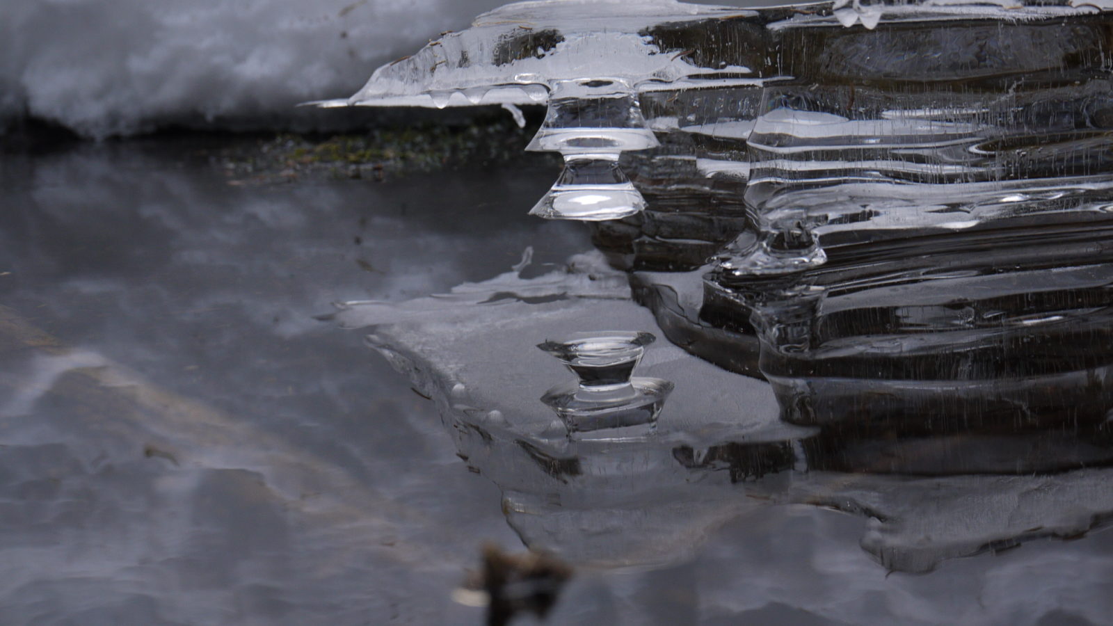 Valokuvaaja: Maija Haase