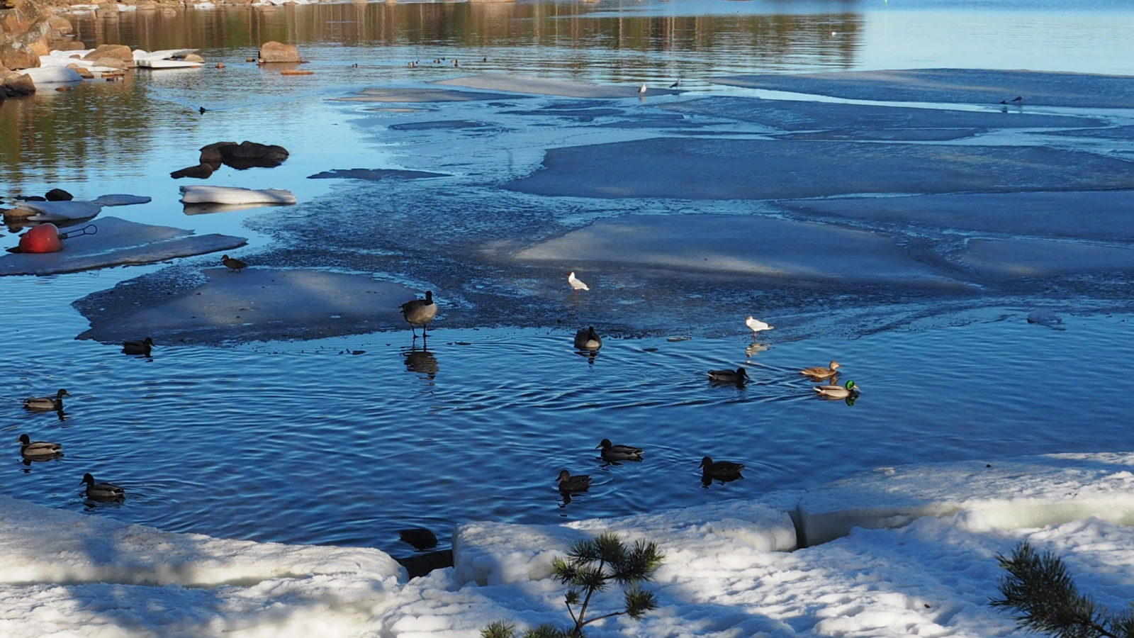 Valokuvaaja: Kirsi Grönholm