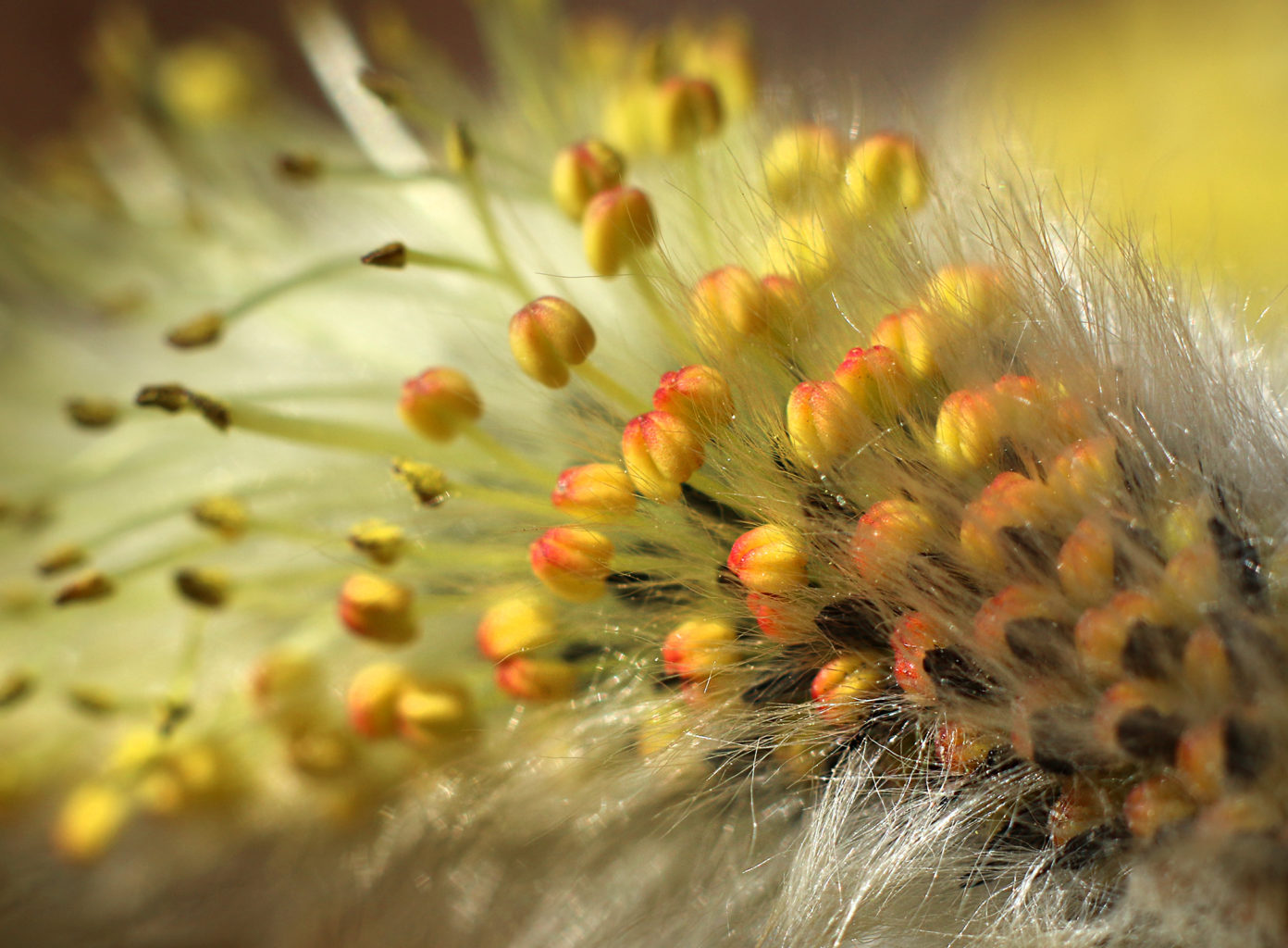 Valokuvaaja: Tarja Porkkala Valokuvaaja: Tarja Porkkala