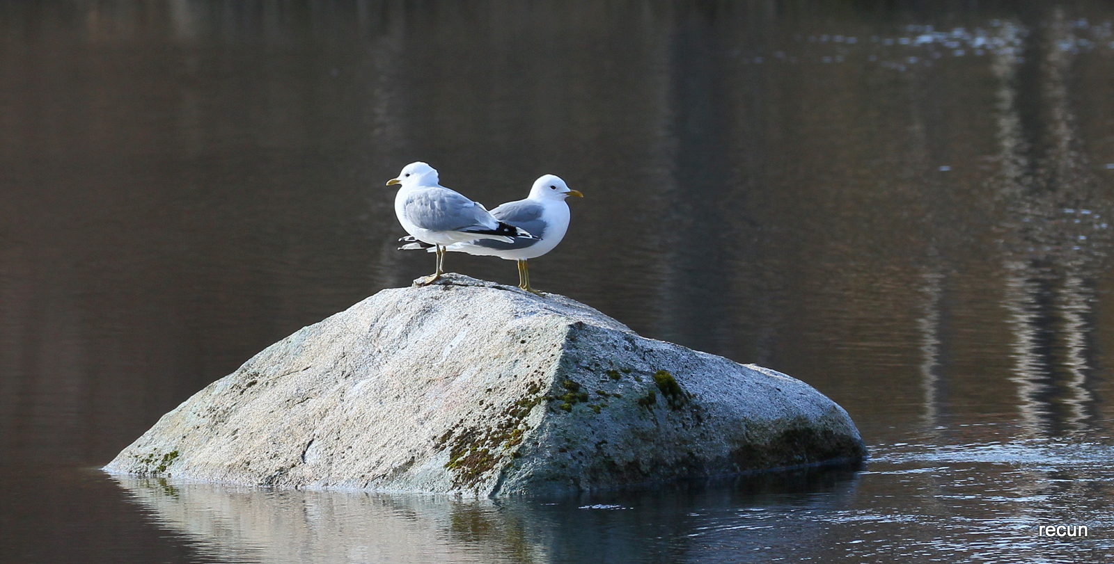 Valokuvaaja: reijo lehtonen
