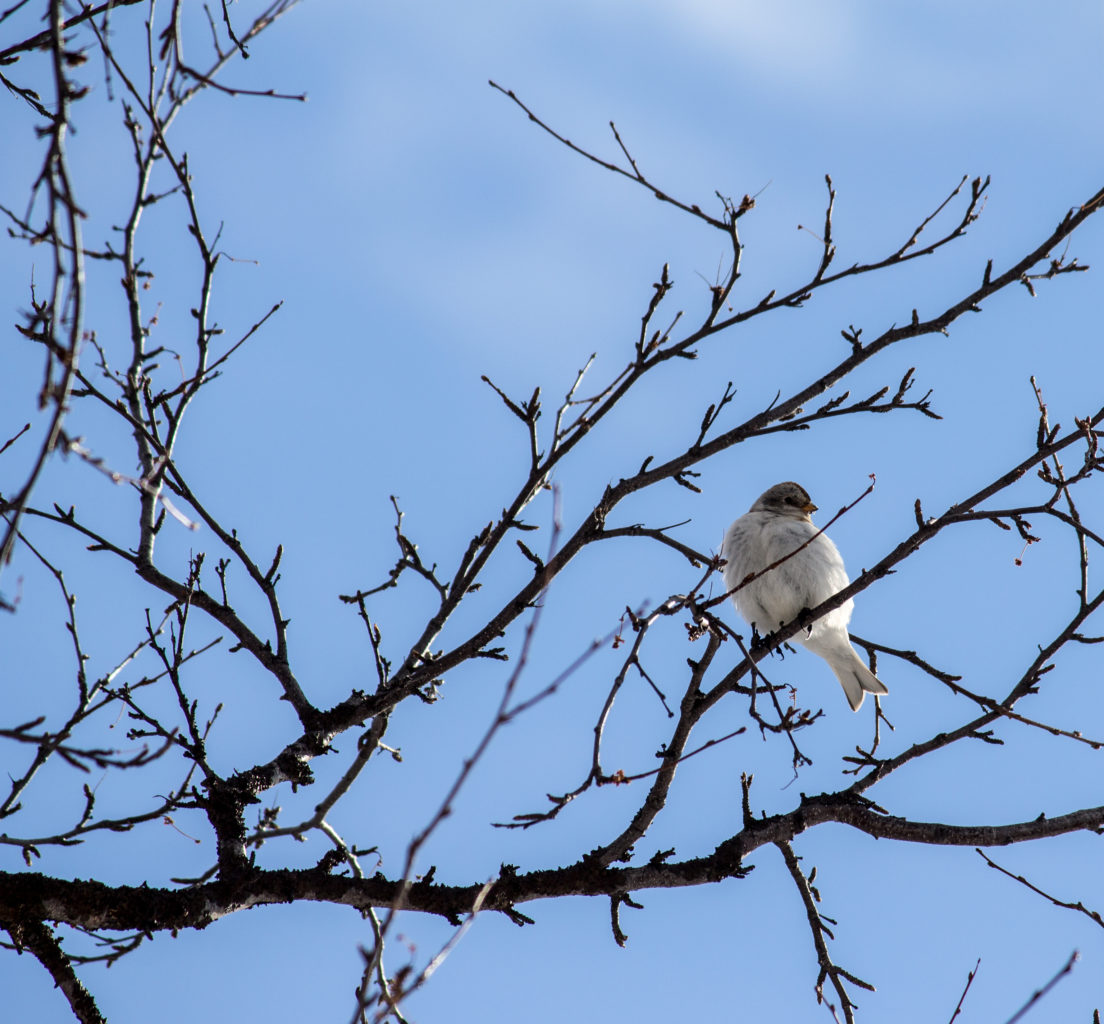 Valokuvaaja: Katri Niskanen Valokuvaaja: Katri Niskanen