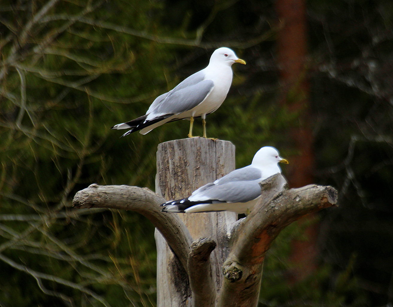 Valokuvaaja: Sirpa Jyske
