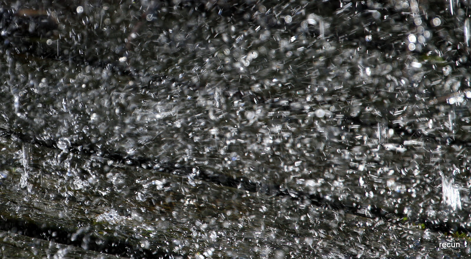 Valokuvaaja: reijo lehtonen