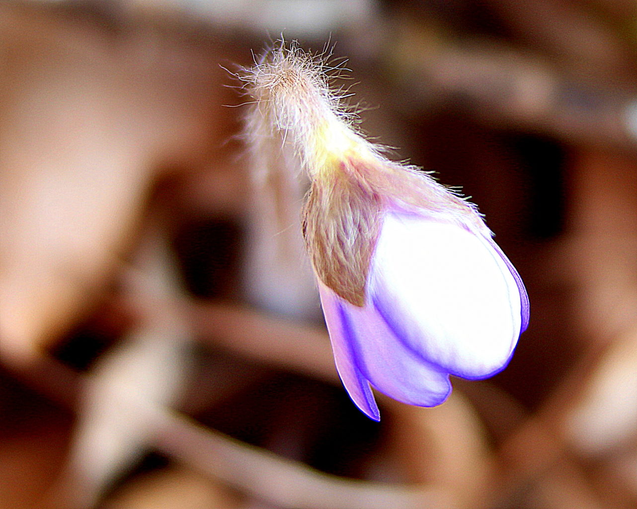 Valokuvaaja: Sirpa Jyske