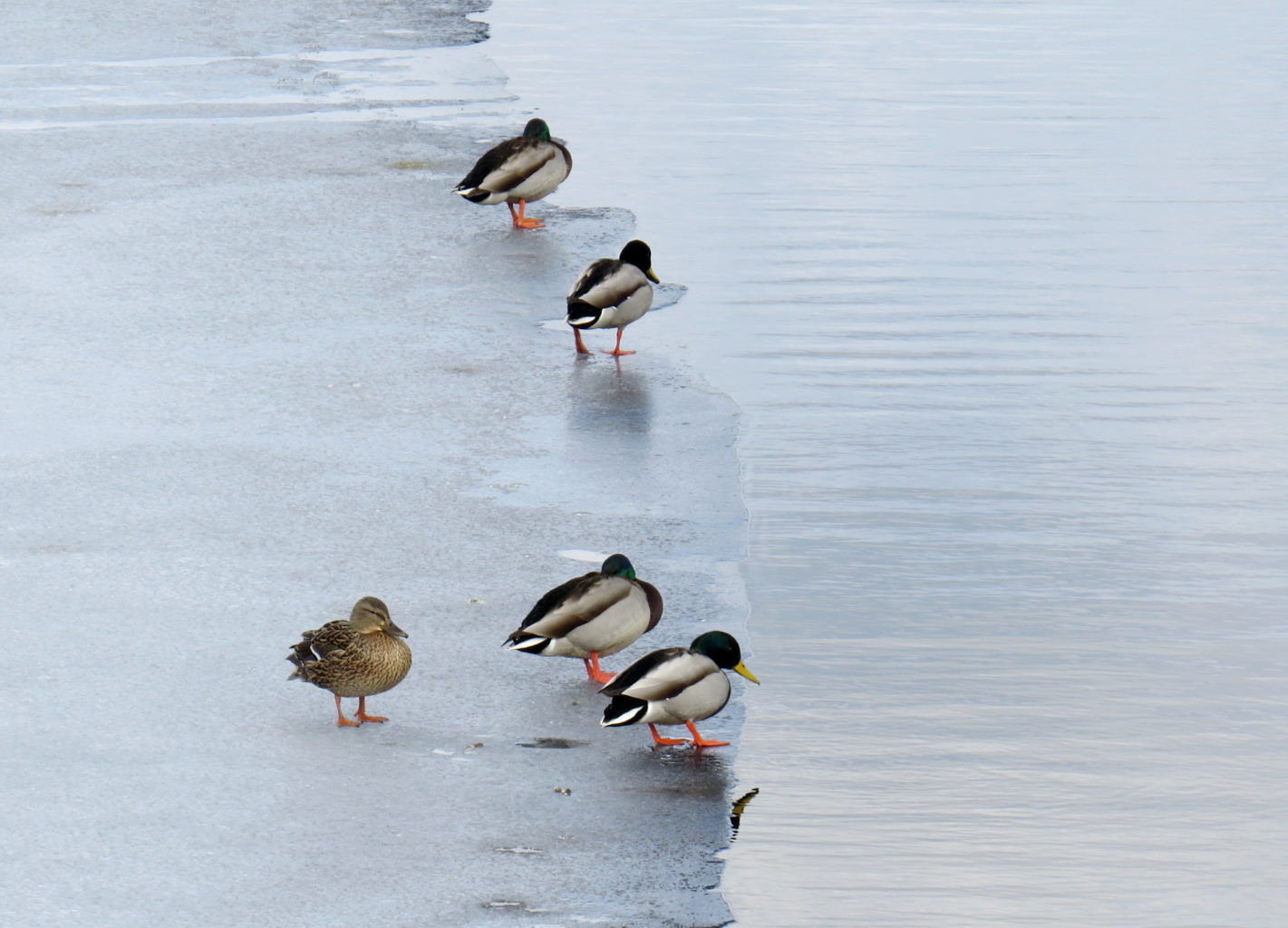 Valokuvaaja: Jaana Talvinen