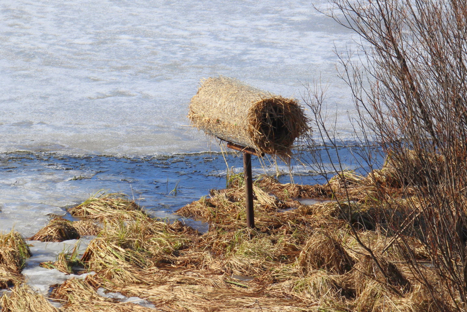 Valokuvaaja: Sirpa Jyske Valokuvaaja: Sirpa Jyske