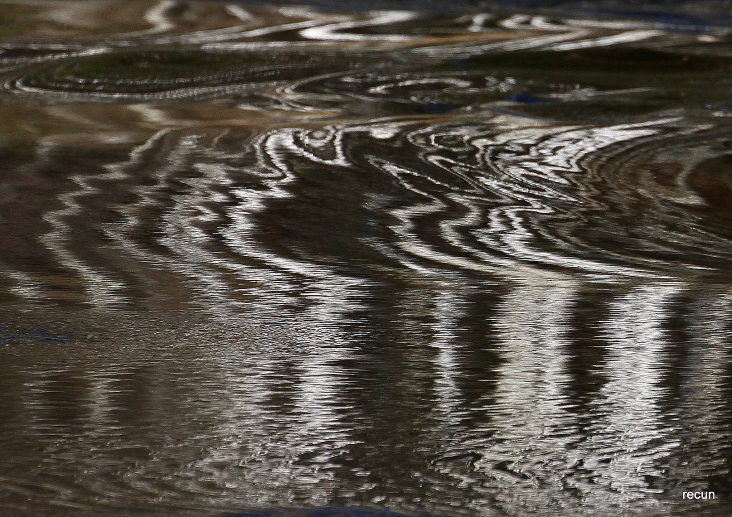 Valokuvaaja: reijo lehtonen