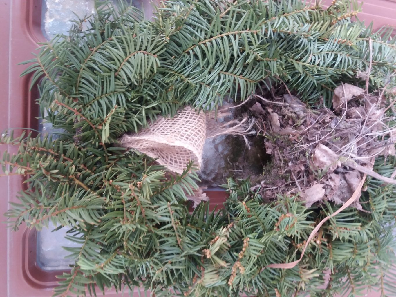 Valokuvaaja: Krista Kujala