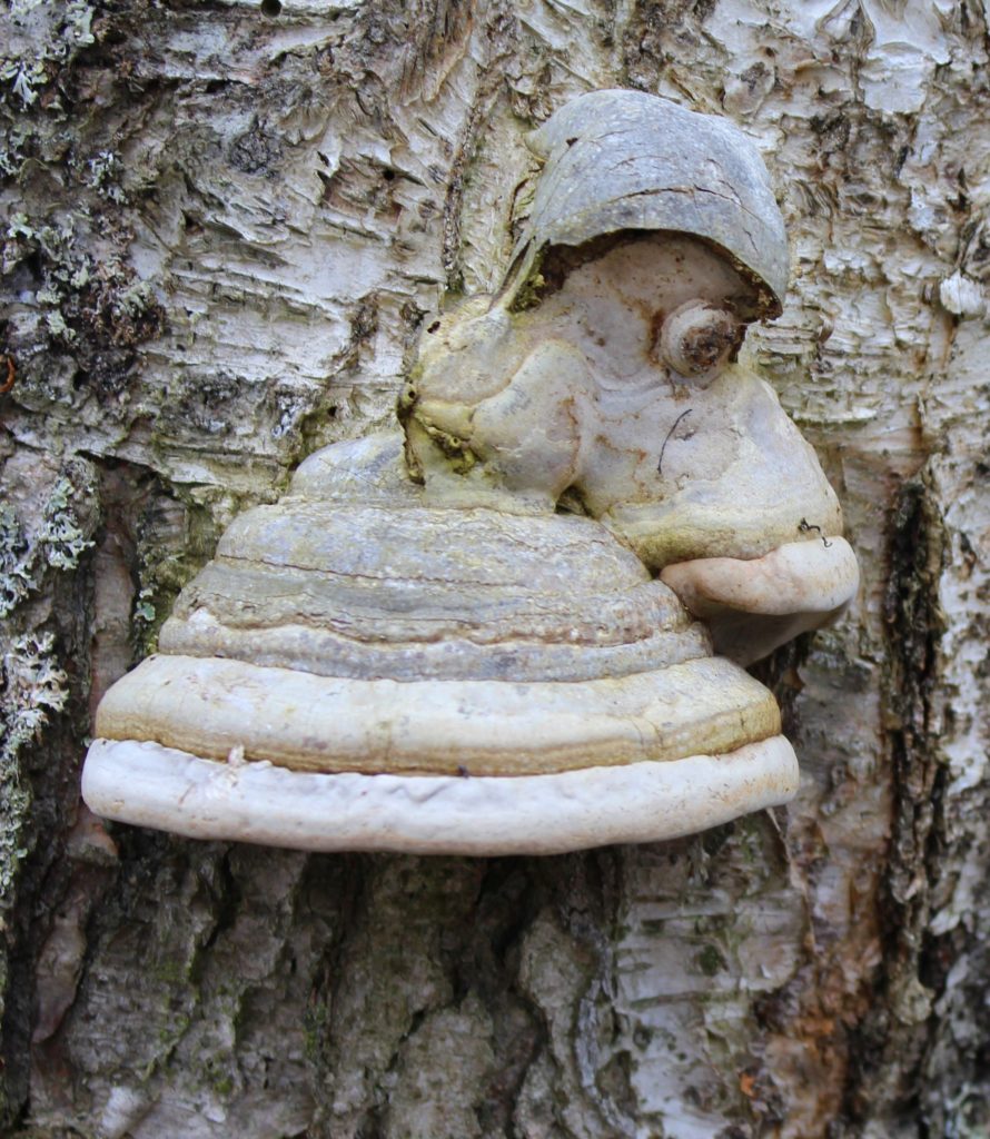 Valokuvaaja: Aimo Räty