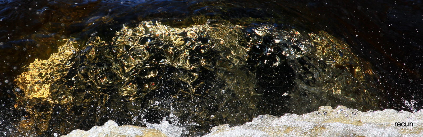 Valokuvaaja: reijo lehtonen