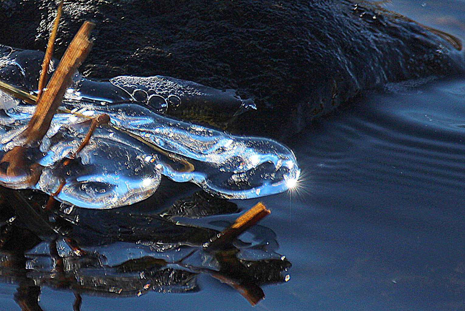 Valokuvaaja: Sirpa Jyske