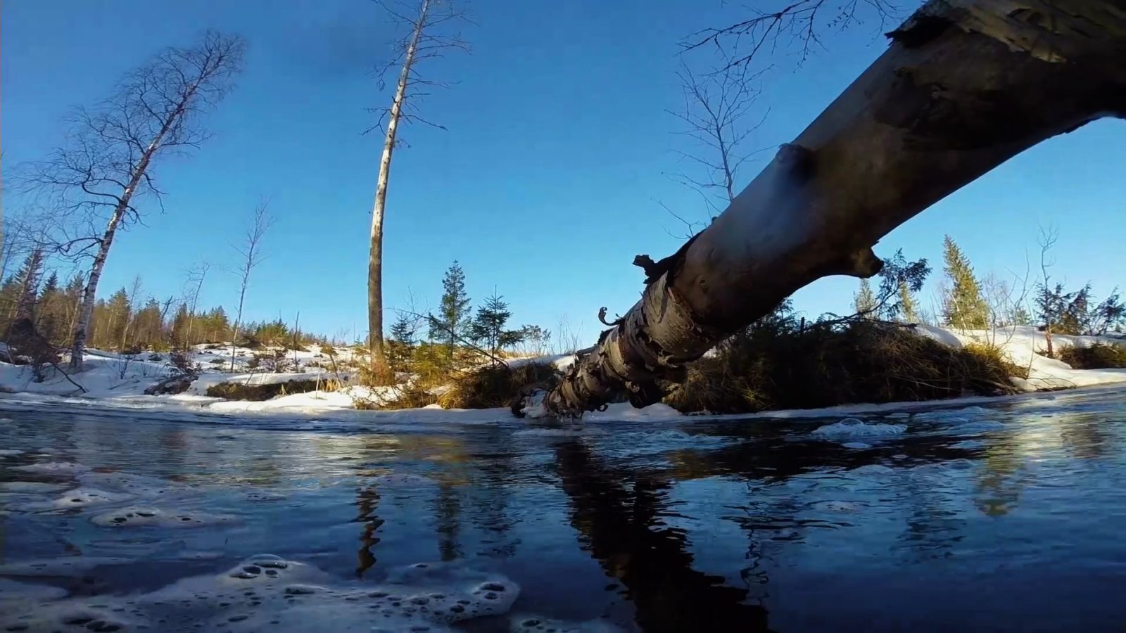 Valokuvaaja: Aimo Räty