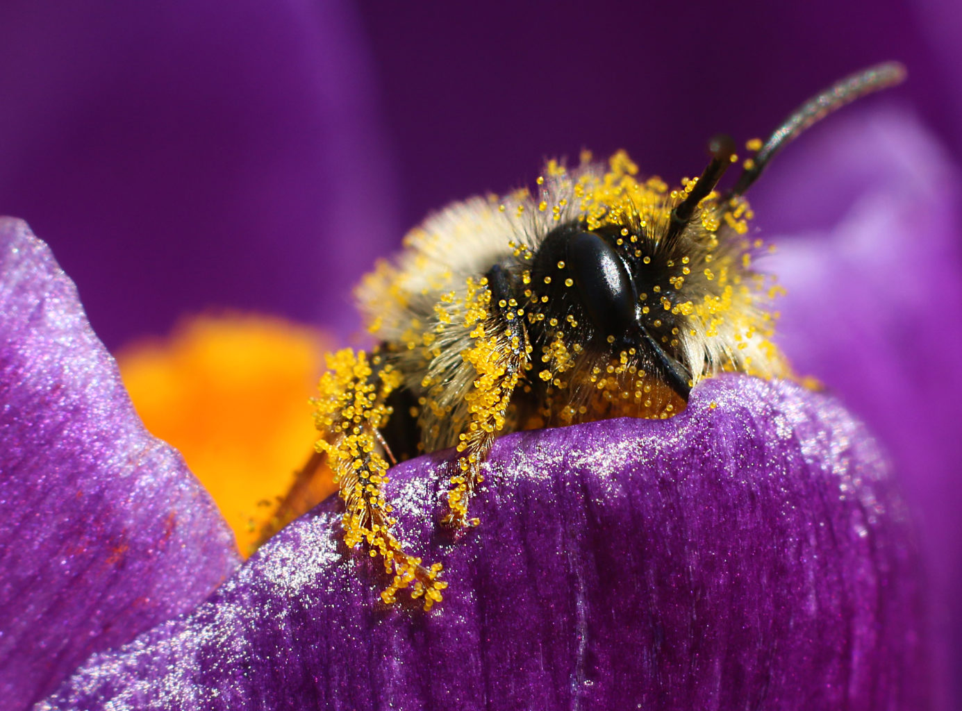 Valokuvaaja: Tarja Porkkala