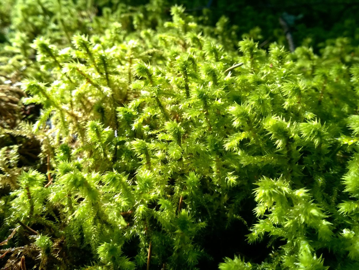 Valokuvaaja: PIRJO RÄISÄNEN