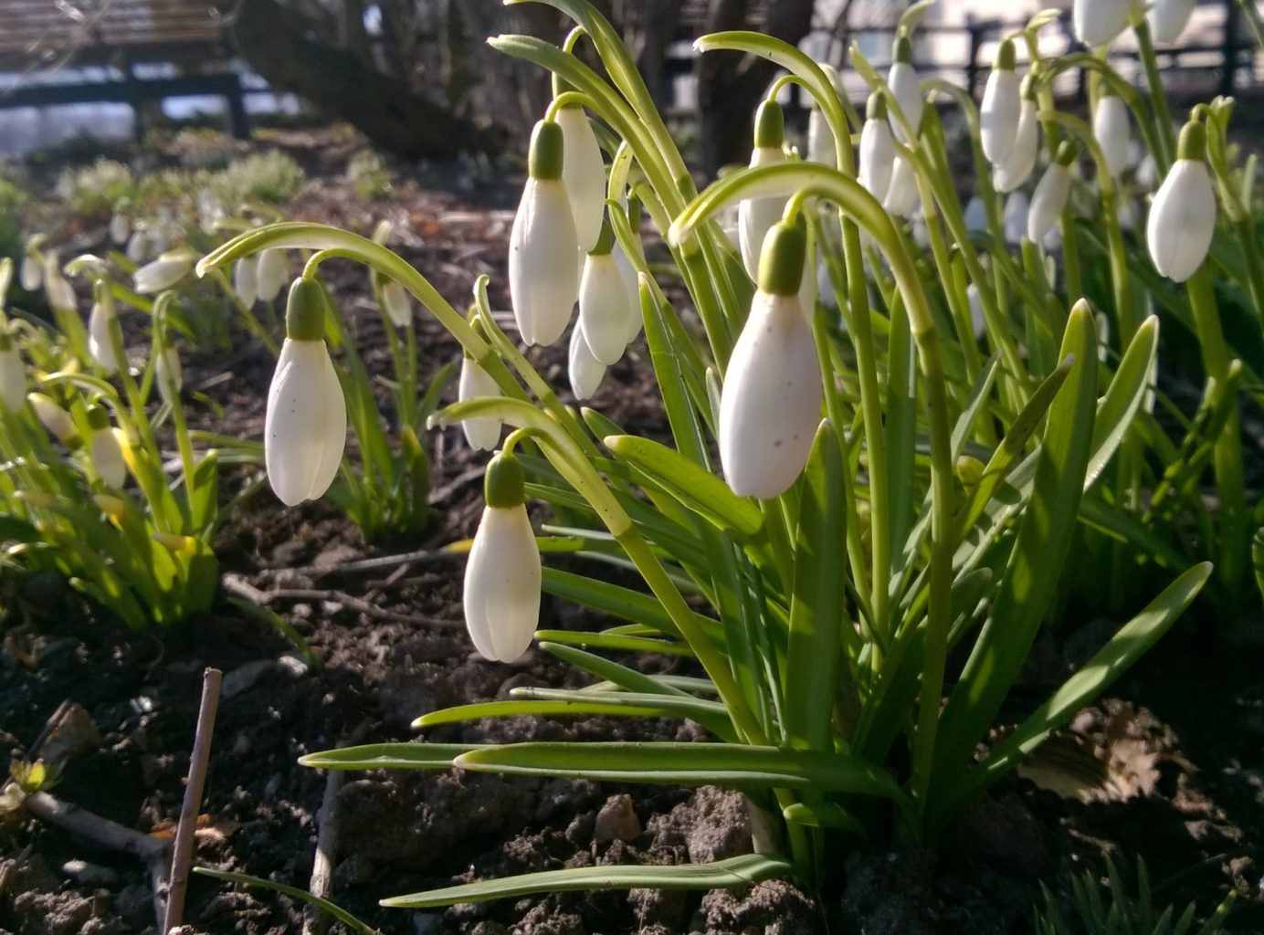 Valokuvaaja: PIRJO RÄISÄNEN