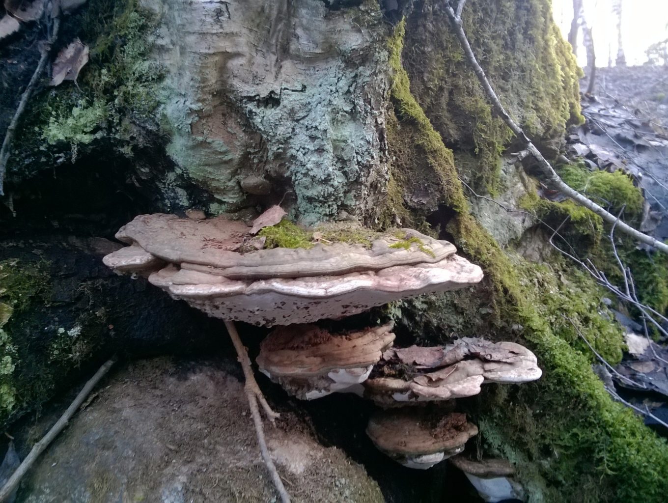 Valokuvaaja: PIRJO RÄISÄNEN