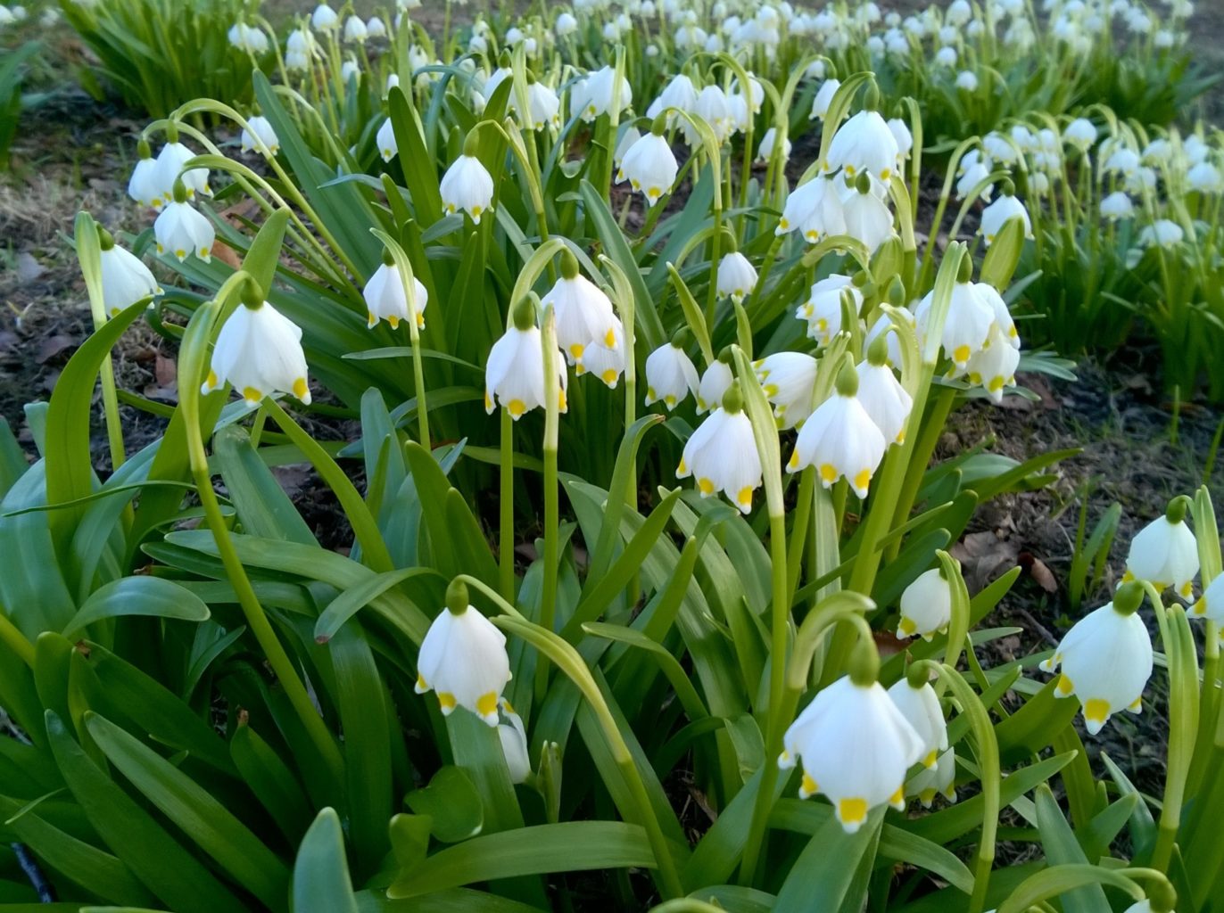 Valokuvaaja: PIRJO RÄISÄNEN