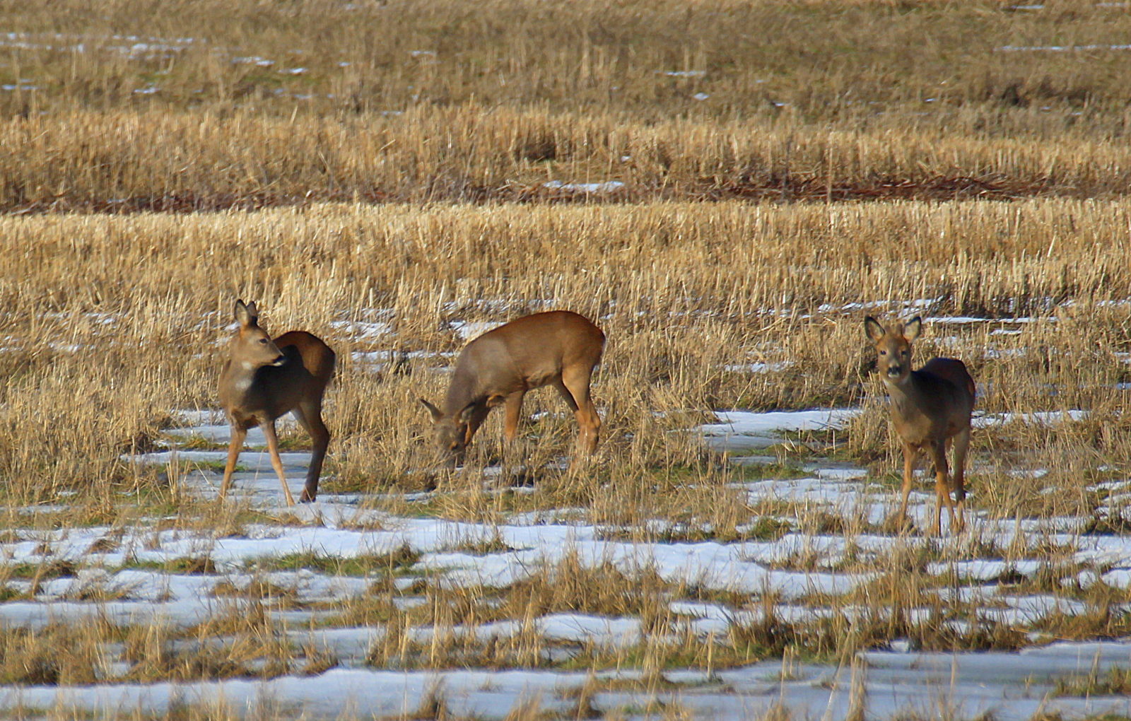 Valokuvaaja: Sirpa Jyske