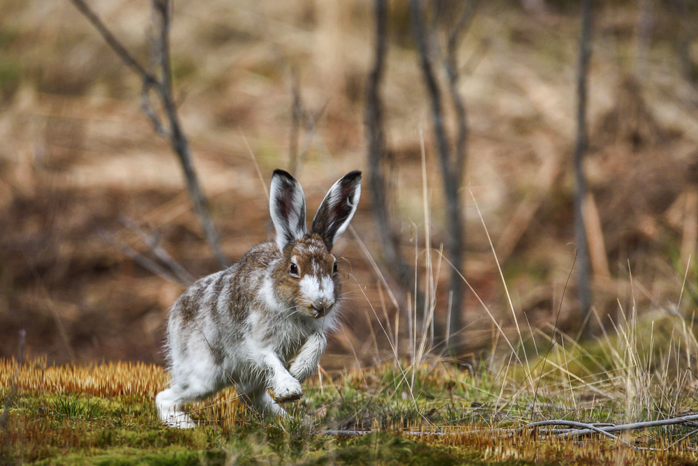 Valokuvaaja: Ari Kaarakainen
