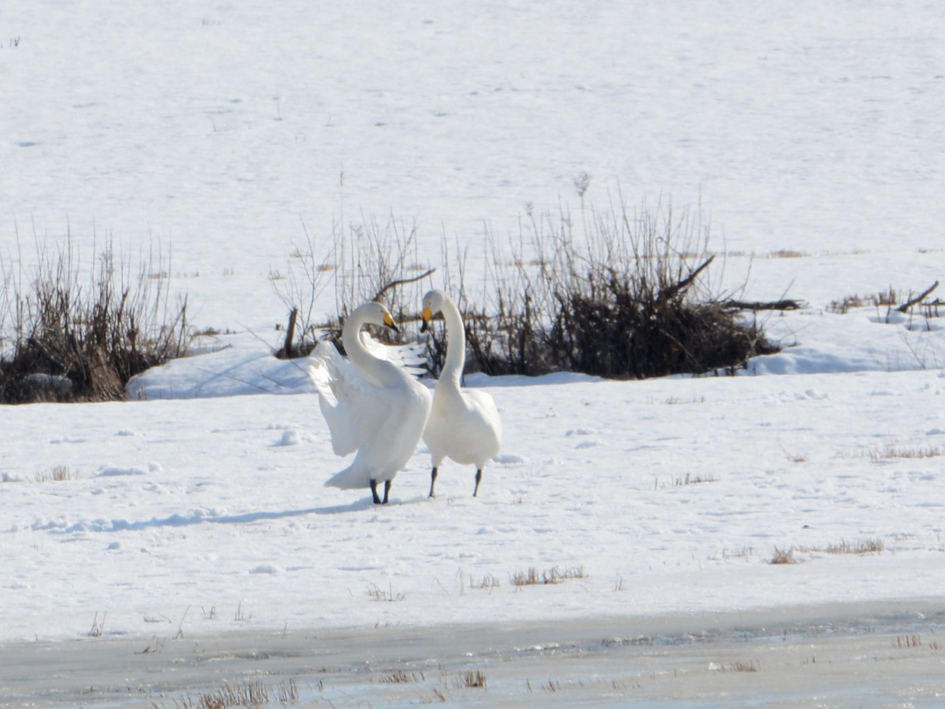 Valokuvaaja: Maija Savolainen