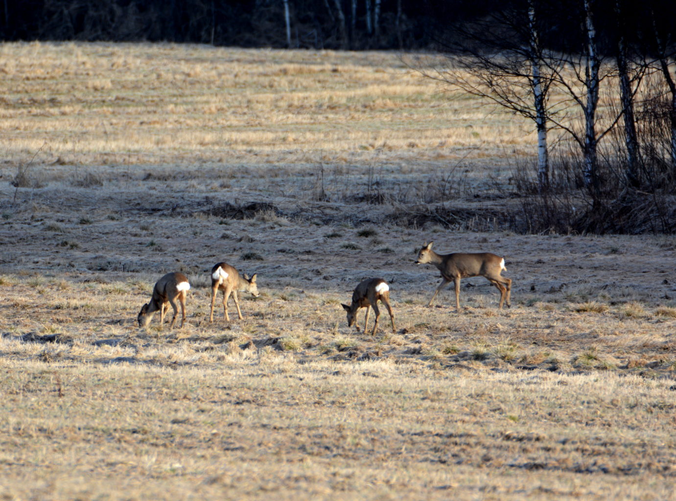 Valokuvaaja: Maija Savolainen