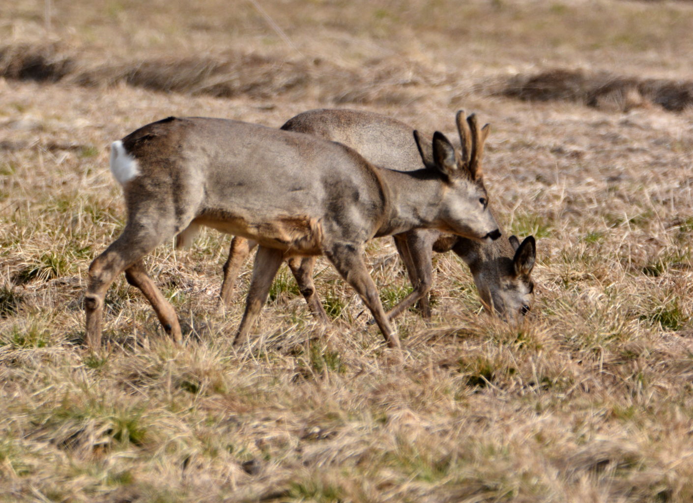 Valokuvaaja: Maija Savolainen Valokuvaaja: Maija Savolainen
