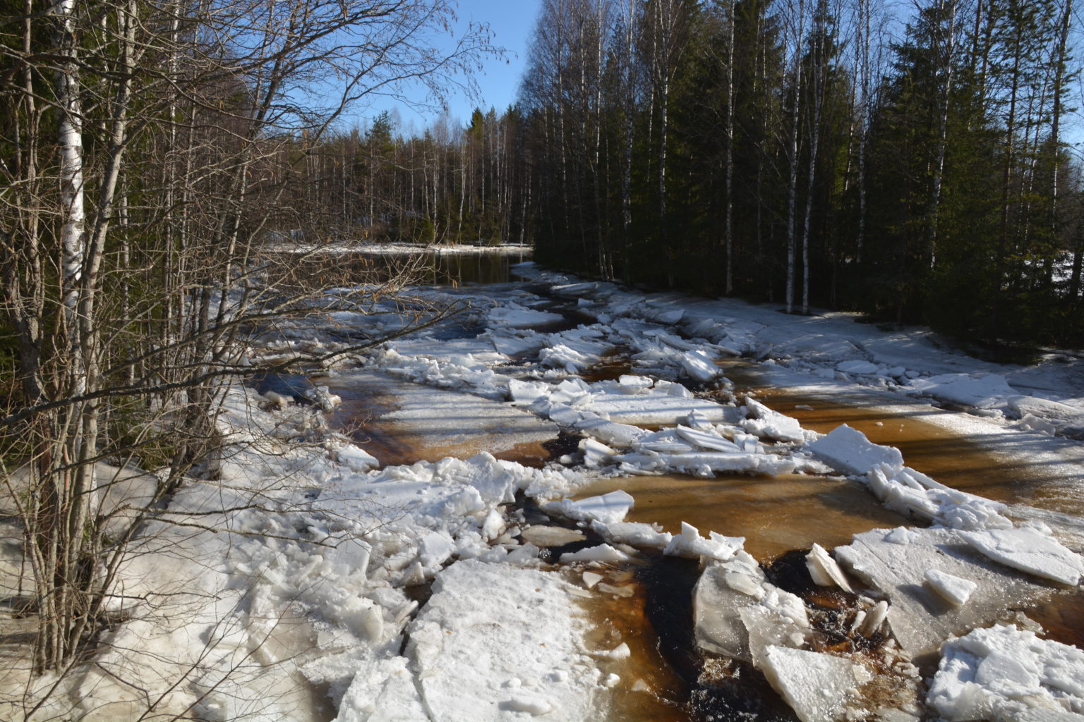 Valokuvaaja: Maija Savolainen
