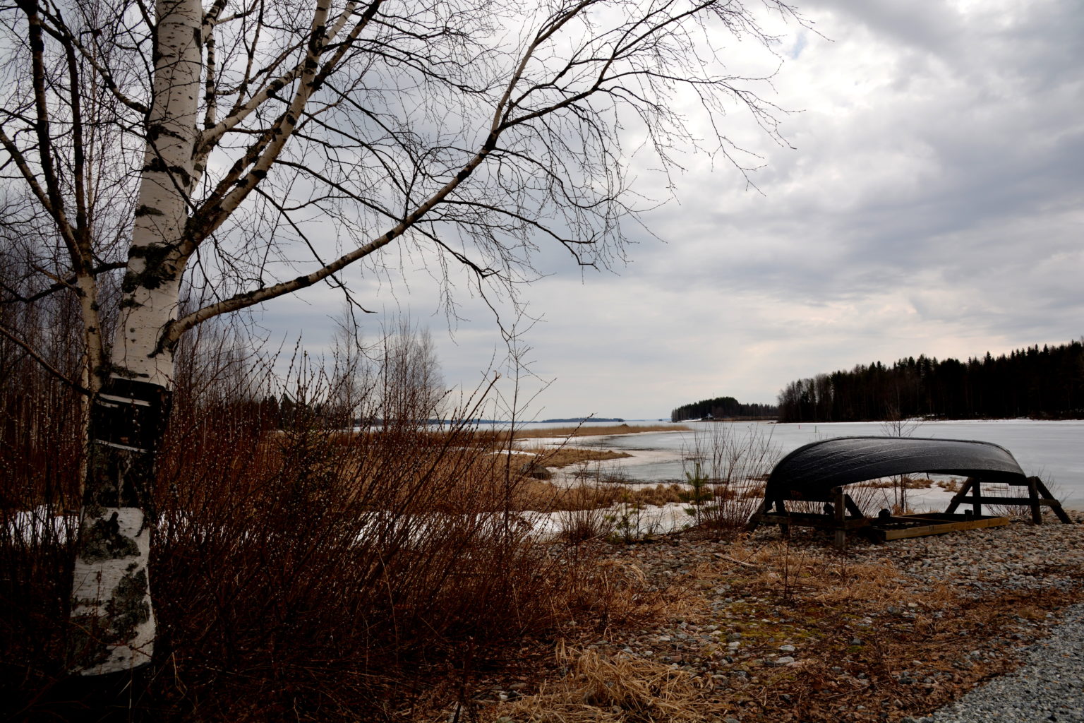 Valokuvaaja: Maija Savolainen Valokuvaaja: Maija Savolainen