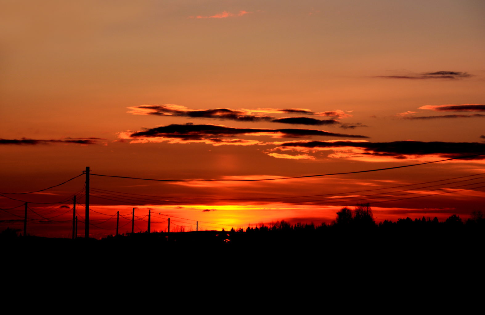 Valokuvaaja: Maija Savolainen