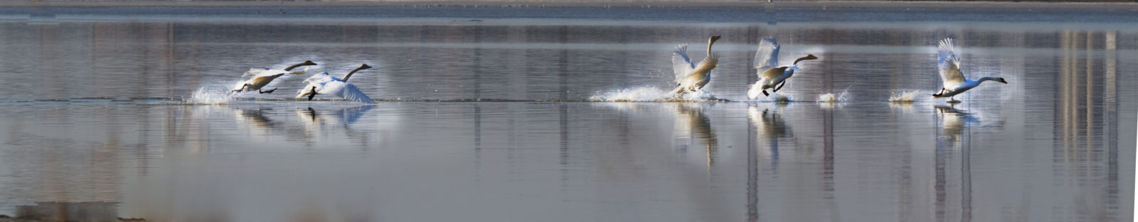 Valokuvaaja: Ilkka Rönkä