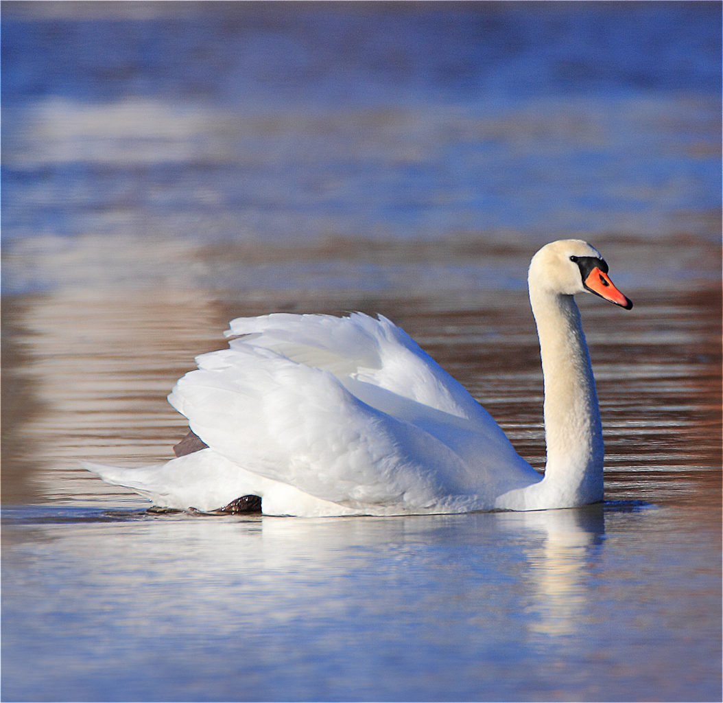 Valokuvaaja: Ilkka Rönkä