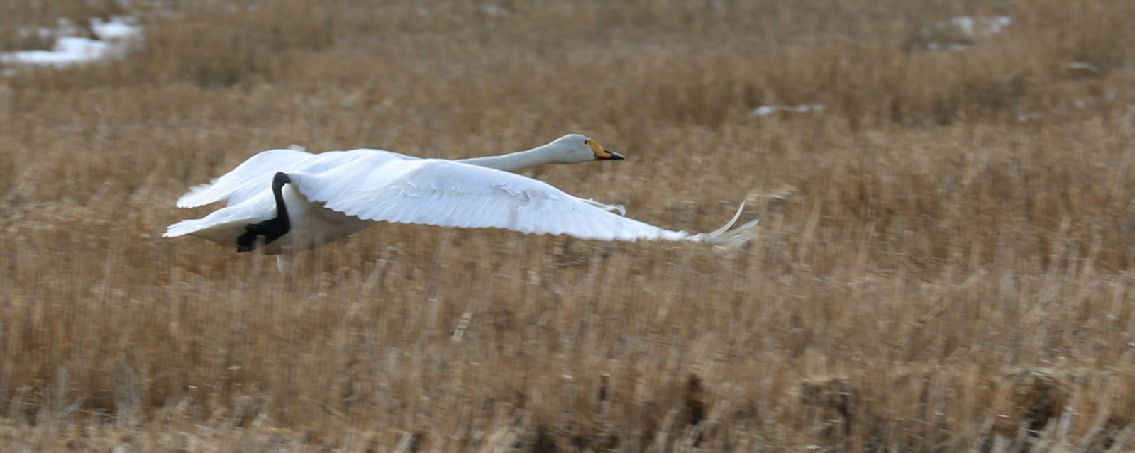 Valokuvaaja: Ahti Keränen