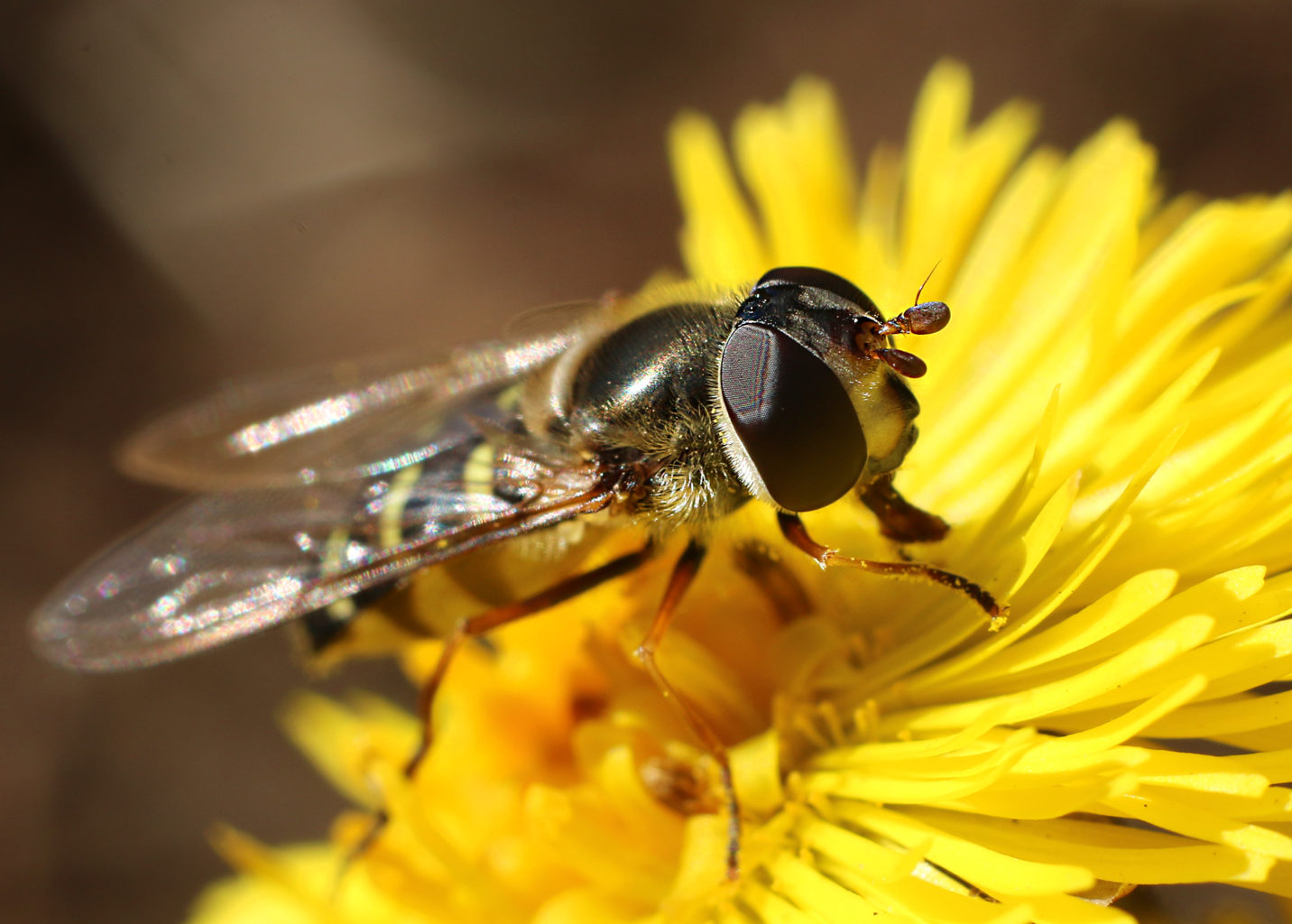 Valokuvaaja: Tarja Porkkala