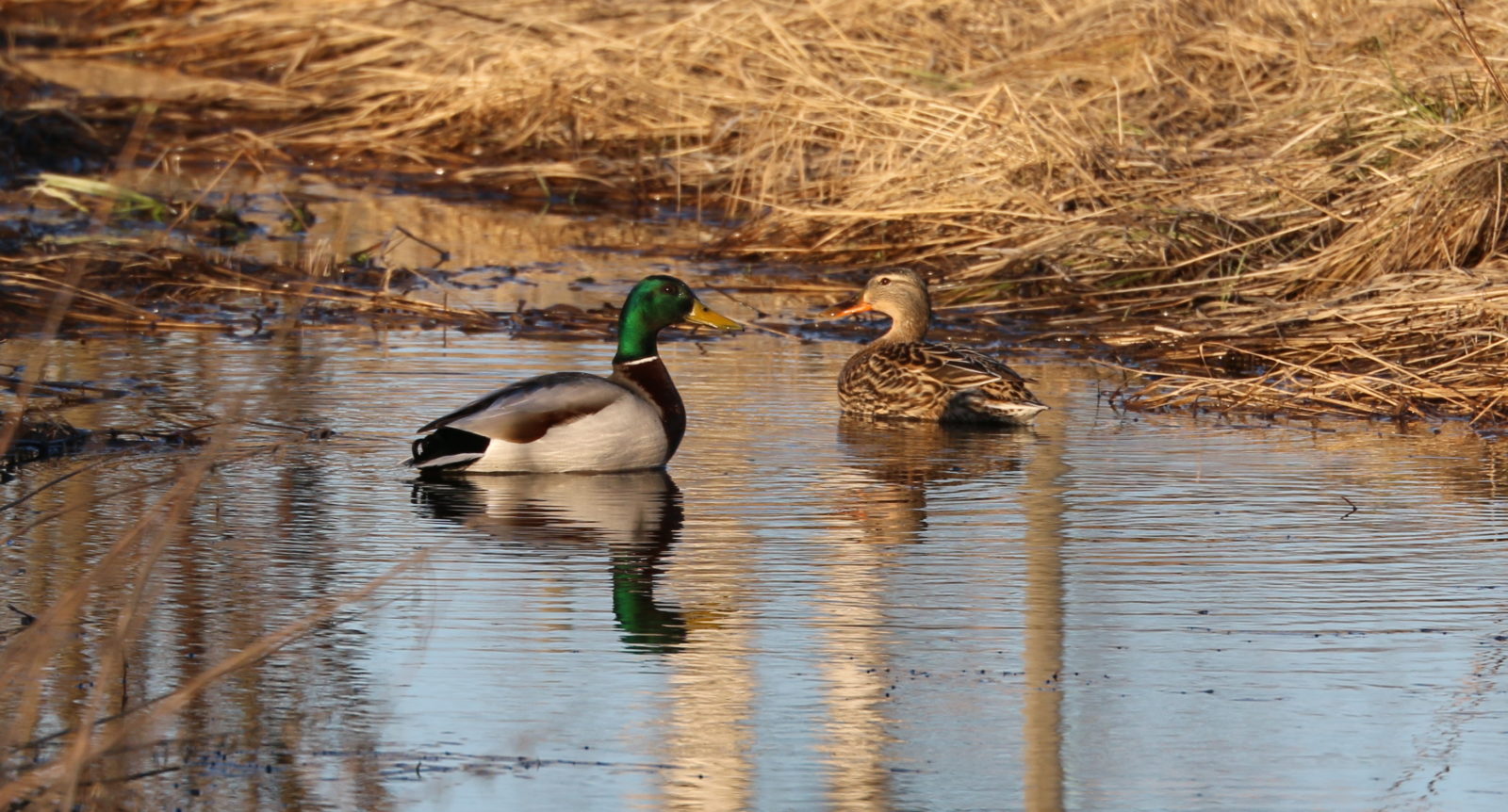Valokuvaaja: Ahti Keränen