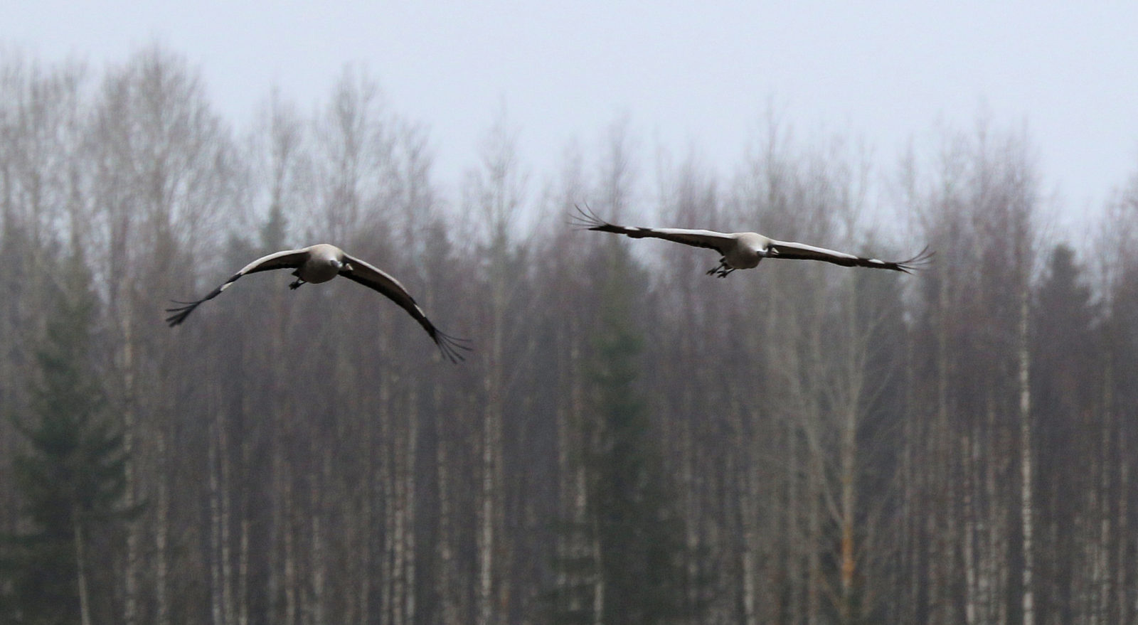 Valokuvaaja: Ahti Keränen