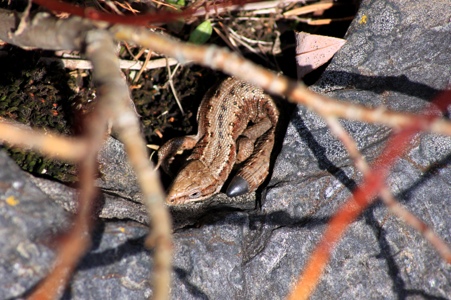 Valokuvaaja: Tuija Lahti