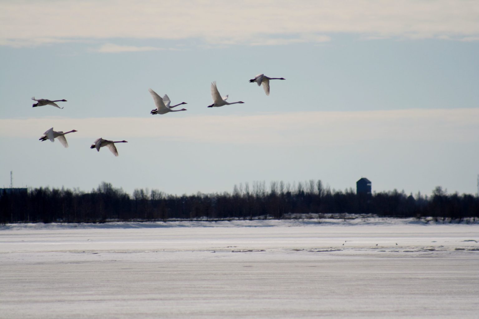 Valokuvaaja: Pirkko Siukonen