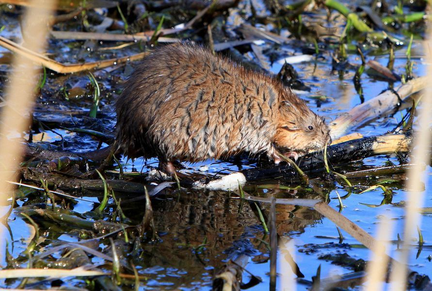 Valokuvaaja: Pauliina Vuollo
