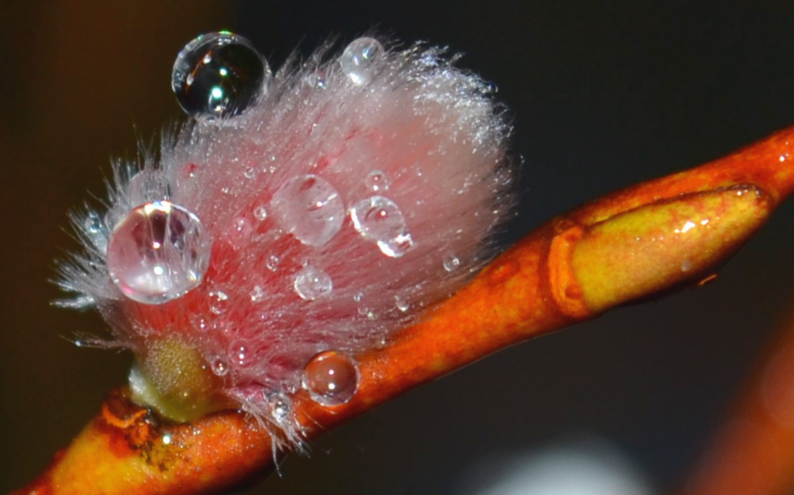 Valokuvaaja: Leena Rissanen