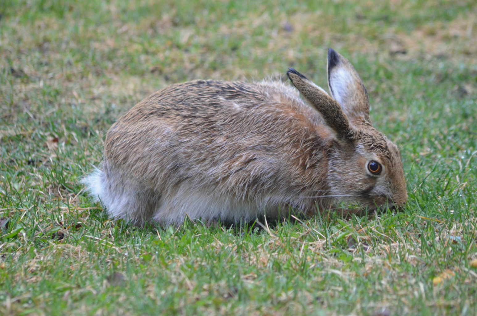 Valokuvaaja: Eija Varjola