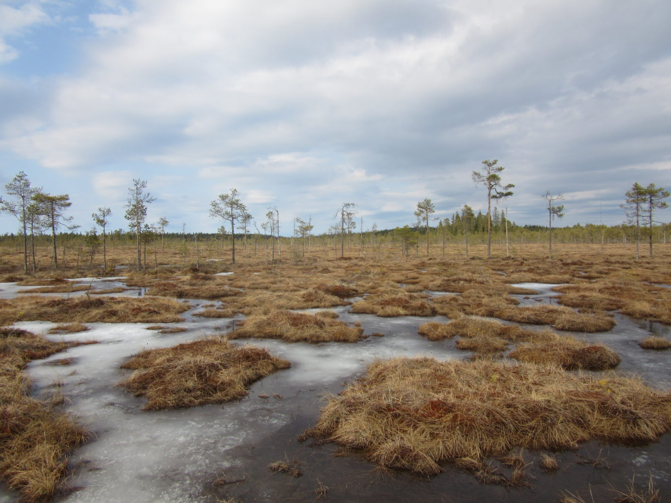 Valokuvaaja: Hanna Ronkainen