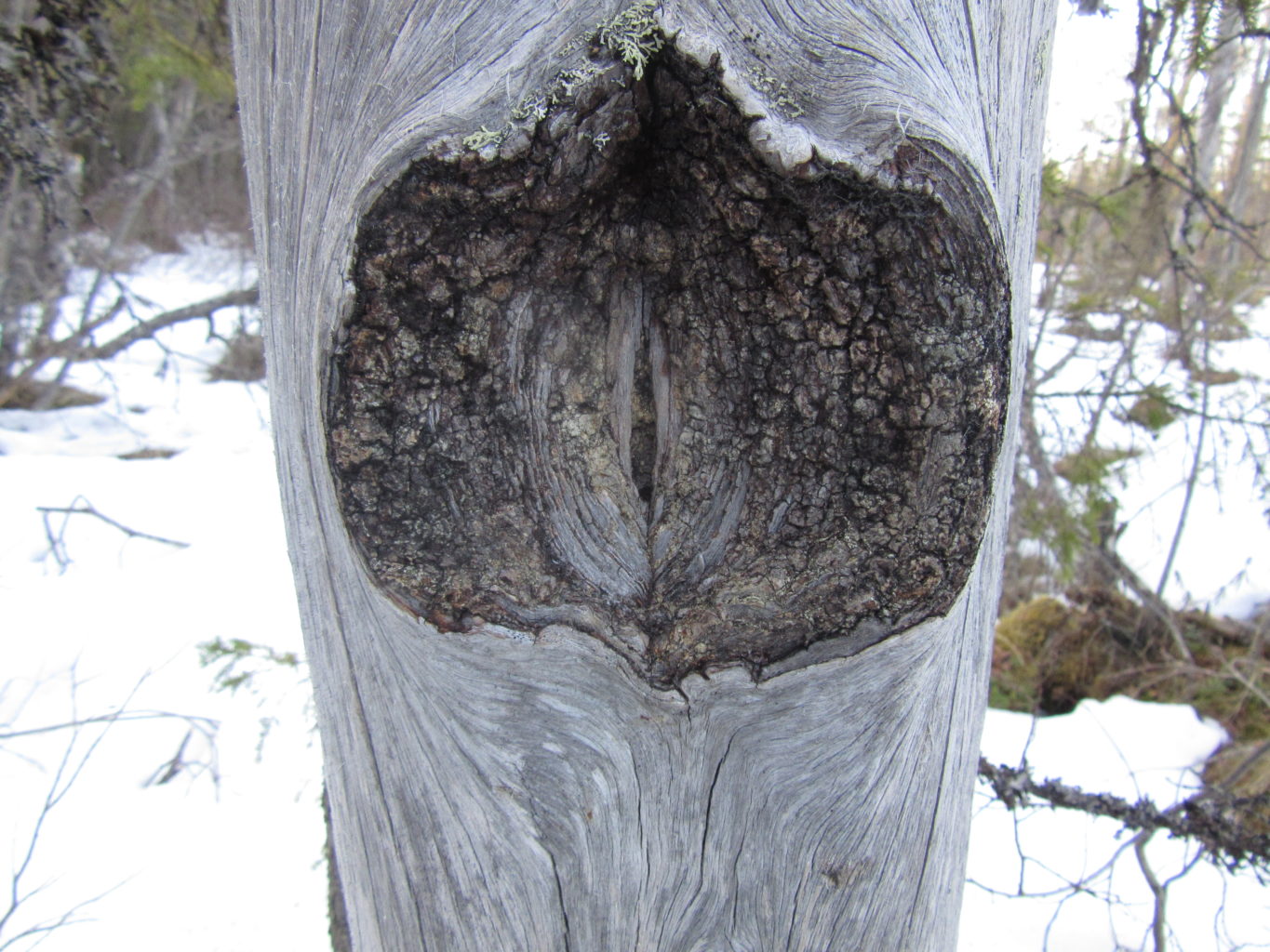 Valokuvaaja: Hanna Ronkainen Valokuvaaja: Hanna Ronkainen