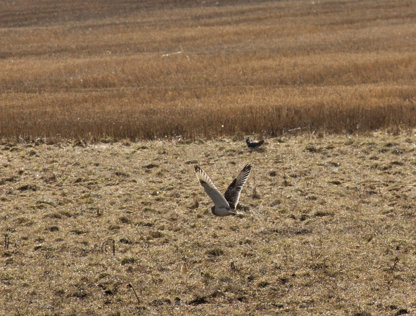 Valokuvaaja: Katri Mäkinen