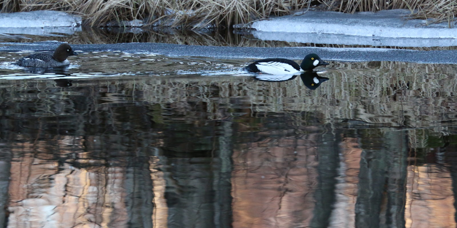 Valokuvaaja: Ahti  Keränen