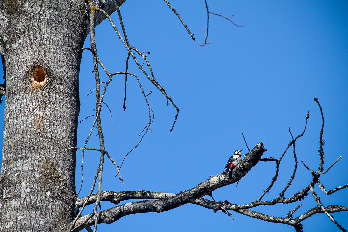 Valokuvaaja: Eine Kakkonen