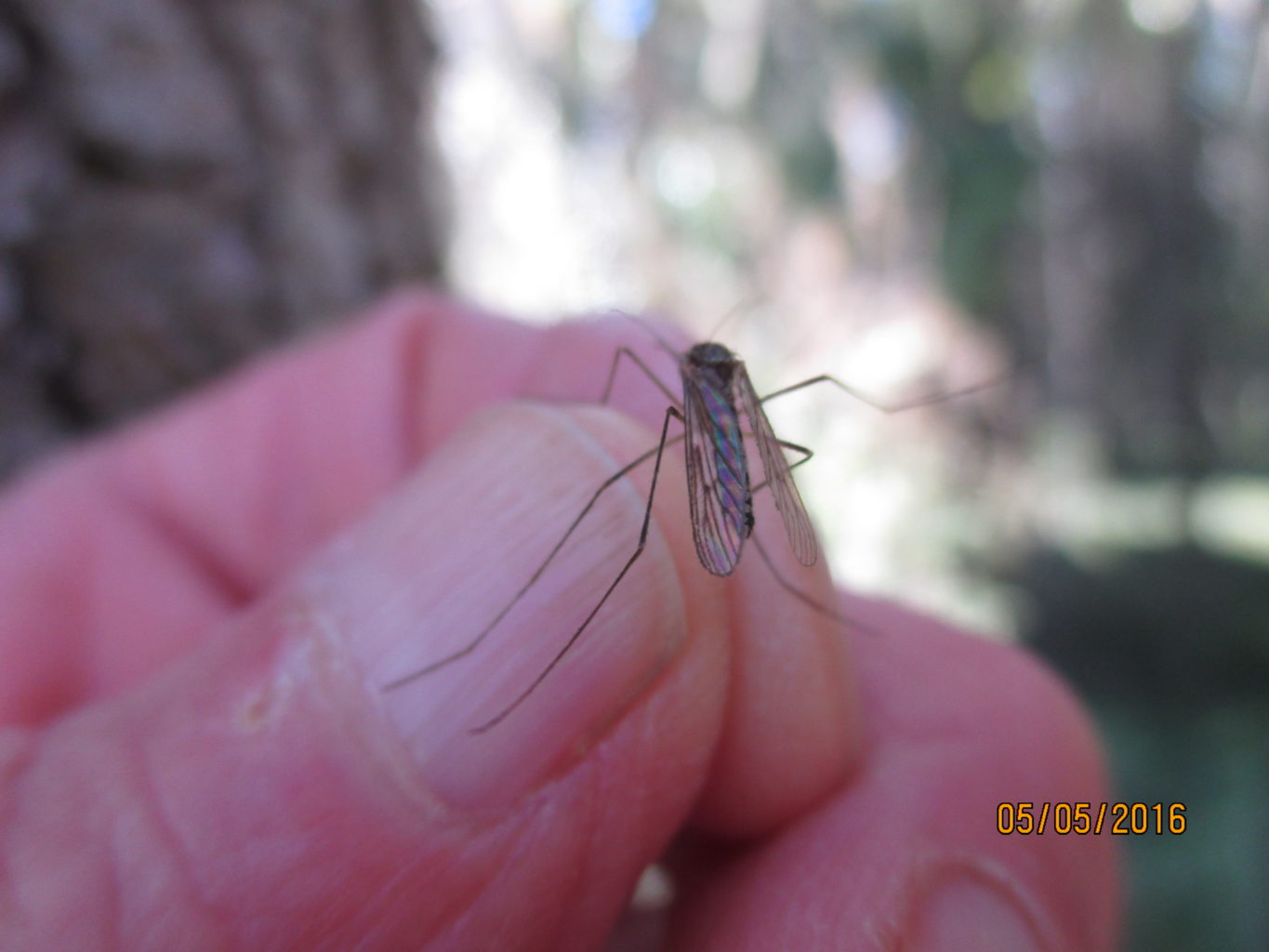 Valokuvaaja: yrjo lukkari Valokuvaaja: yrjo lukkari