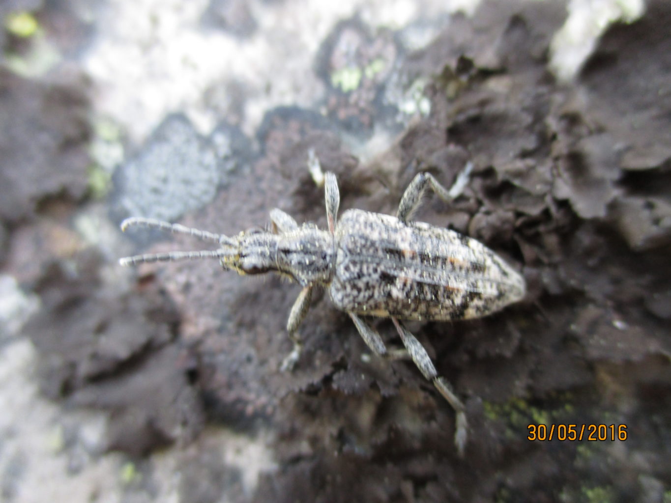 Valokuvaaja: yrjo lukkari